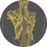 Avant Massage Therapy logo